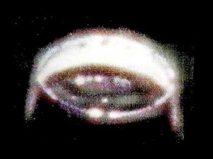 Foto Ufo sulla Luna