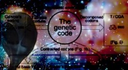 Codice genetico 1.1